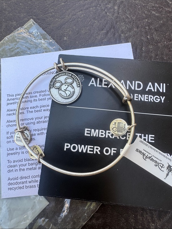 Alex and Ani Jewelry - Alex and Ani Silver Disney Globe Charm Expandable Bracelet